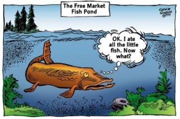 free-market-fish-pond2